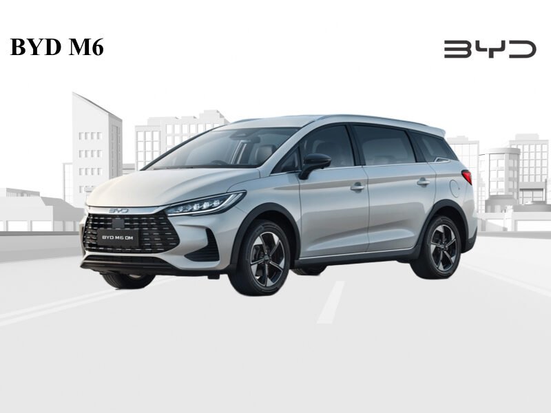 BYD M6